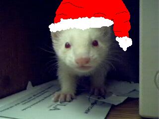 Christmas Cracker