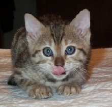 Ohh so sweet