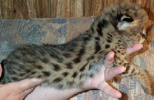What a big boy
