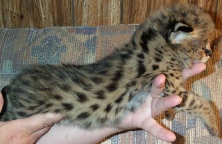 What a big boy