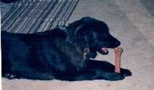 Praying to the Bone