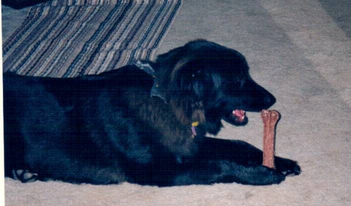 Praying to the Bone