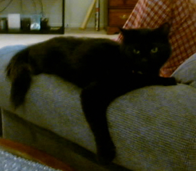 Queen Kitka