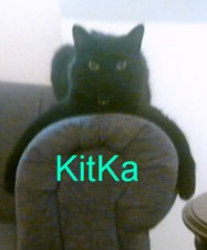 Queen Kitka