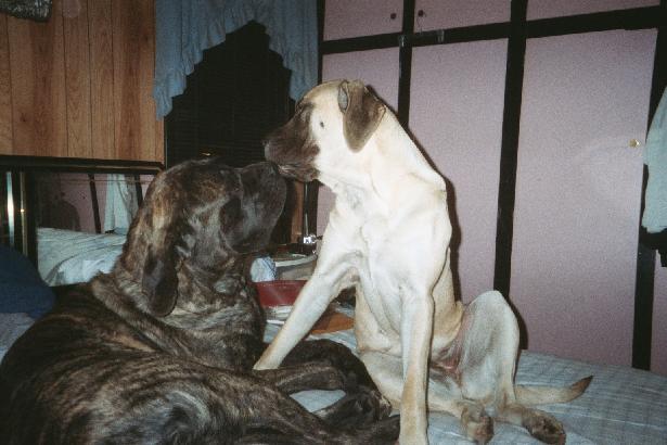 Angus and Mya