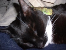 Codey and her buddy