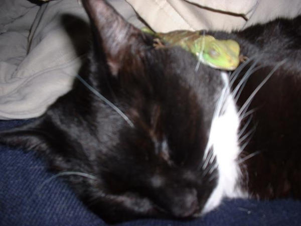 Codey and her buddy