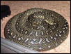 pic of smaller female