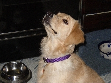 Grace 5