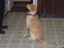 Grace 4