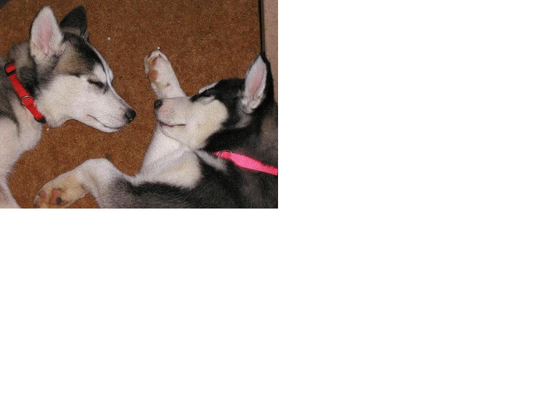 Kaya & Kura
