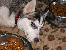Kura 14weeks