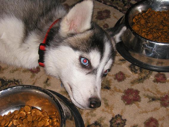 Kura 14weeks