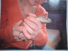 2.5 months old, Feb. 14 ,2002