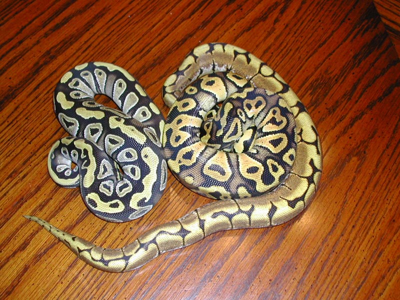 Group shot