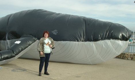Puma & Whale Balloon