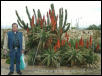 Brian & flowering cactus