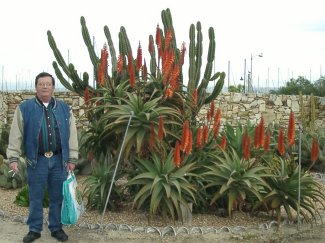 Brian & flowering cactus