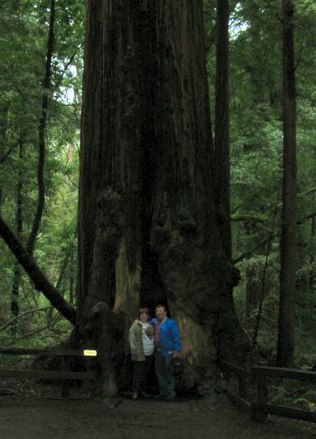 Puma & Brian in Muir Woods