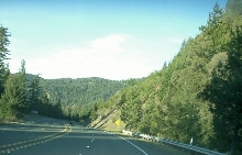 Mountain View in Northern CA
