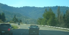 Mountain Forests in Northern CA