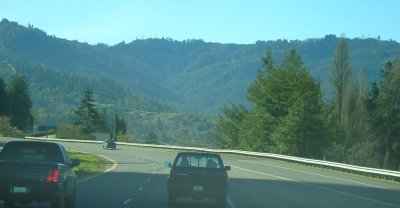Mountain Forests in Northern CA