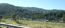Mountain Forests in Northern CA