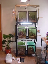 2nd rack system