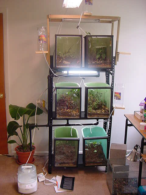 2nd rack system
