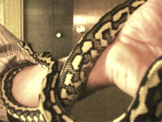 rana: again