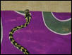 irian jaya carpet