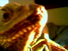 Carlos Closeup