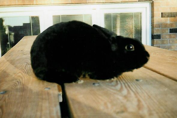 Sam