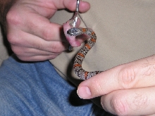 Jackie Feeding