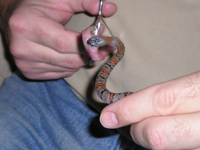Jackie Feeding