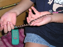 length