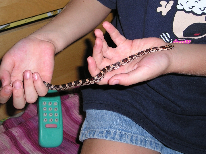 length