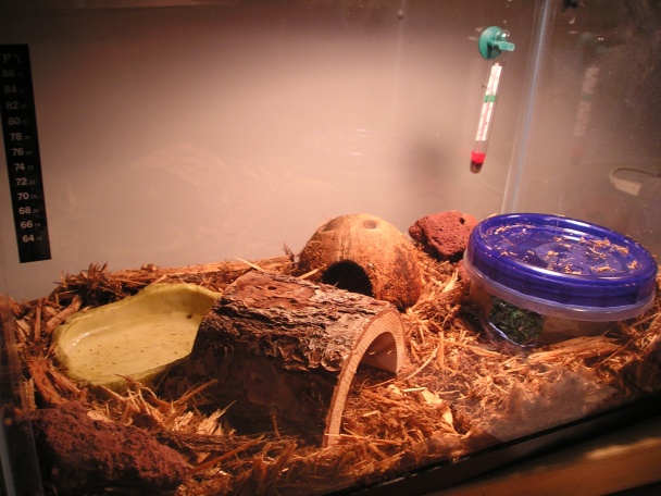 new Tweek habitat