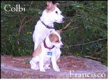 Colbi And Francisco