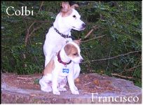 Colbi And Francisco