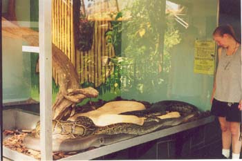 Reptile Gardens Trip