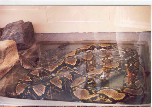 Reptile Gardens Trip