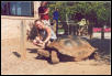 Reptile Gardens Trip