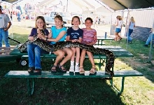 Sasha at the Fair