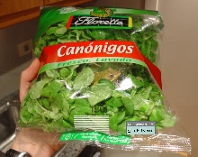 Frog Lettuce
