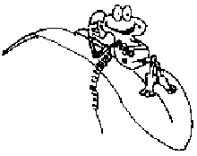 frog on phone funny