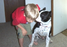 Pit Bull Secrets
