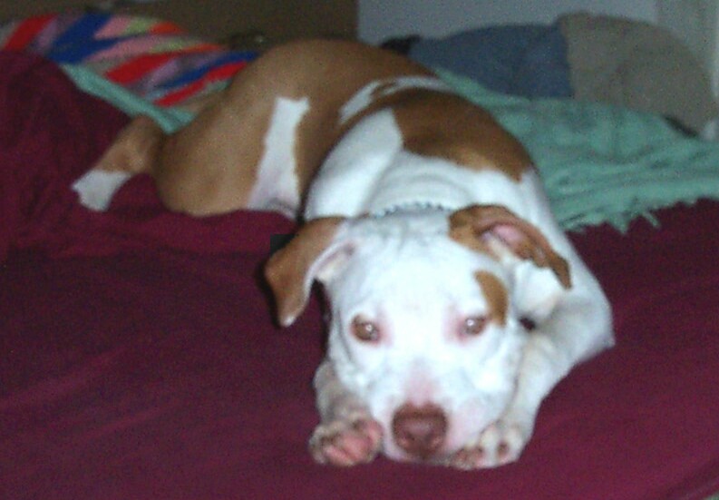 Rudie caught in the act