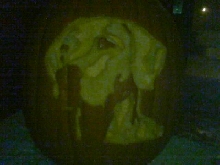 Allie Pumpkin