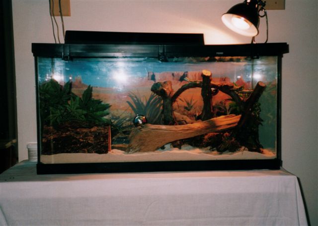 Ne w Tank